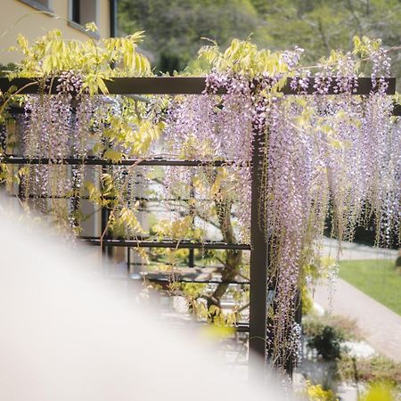 كابرارولا Agriturismo La Valle Di Vico المظهر الخارجي الصورة