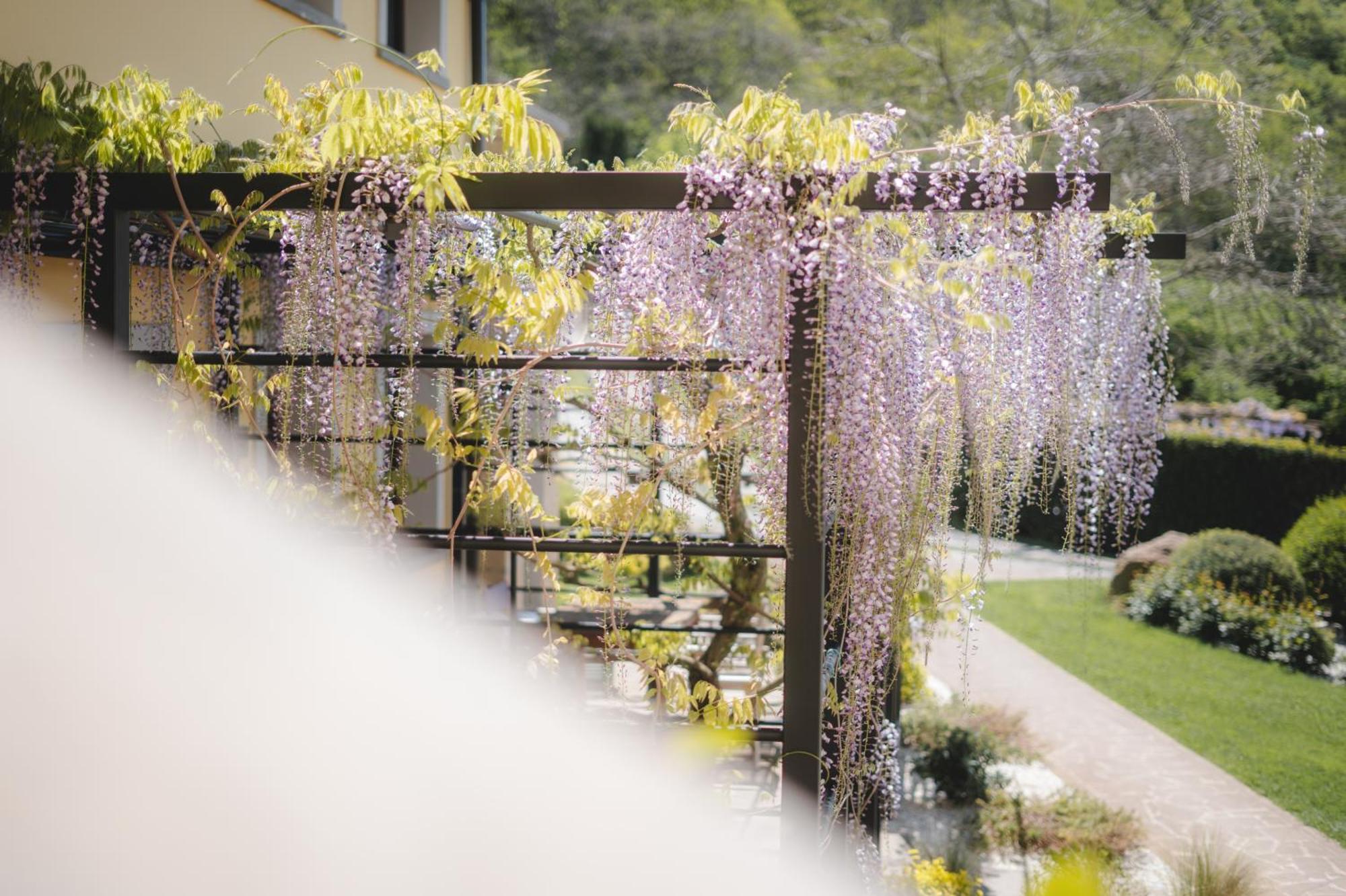 كابرارولا Agriturismo La Valle Di Vico المظهر الخارجي الصورة